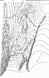 carte de Noak