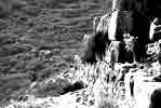 mur sud