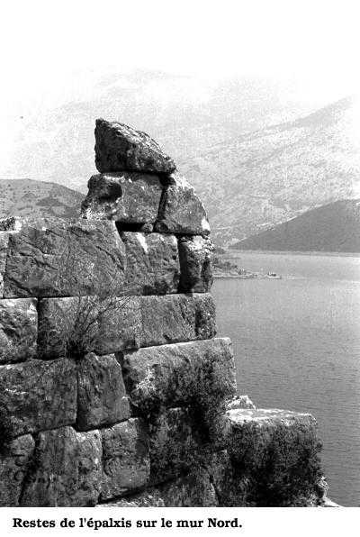 l'épalxis