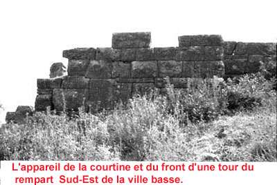 La courtine.