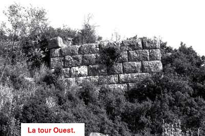 tour